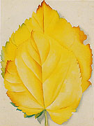 Two Yellow Leaves 1928 - Georgia O'Keeffe reproduction oil painting