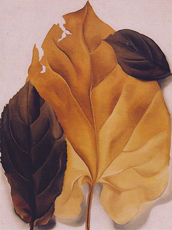Brown And Tan Leaves 1928 - Georgia O'Keeffe reproduction oil painting
