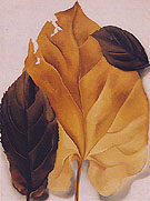 Brown And Tan Leaves 1928 - Georgia O'Keeffe