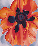 Red Poppy No VI 1928 - Georgia O'Keeffe