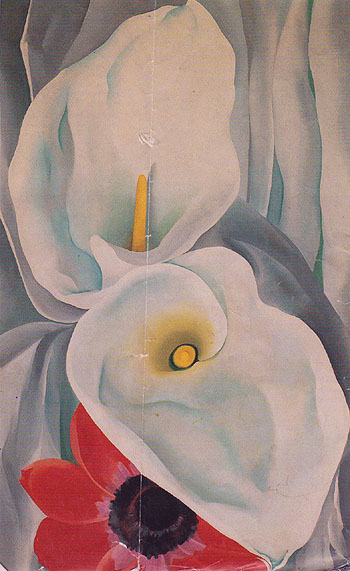 Calla Lilies With Red Anemone 1928 - Georgia O'Keeffe reproduction oil painting