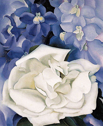 White Rose With Larkspur No 1 1927 - Georgia O'Keeffe reproduction oil painting