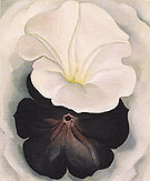 Black Petunia And White Morning Glory 2 1926 - Georgia O'Keeffe