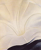 Black Petunia And White Morning Glory 3 1926 - Georgia O'Keeffe