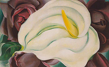 L K White Calla And Roses 1926 - Georgia O'Keeffe reproduction oil painting