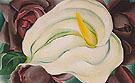 L K White Calla And Roses 1926 - Georgia O'Keeffe