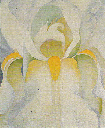 Untitled White Iris 1926 - Georgia O'Keeffe reproduction oil painting