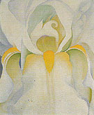 Untitled White Iris 1926 - Georgia O'Keeffe reproduction oil painting