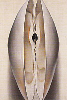Slightly Open Clam Shell 1926 - Georgia O'Keeffe