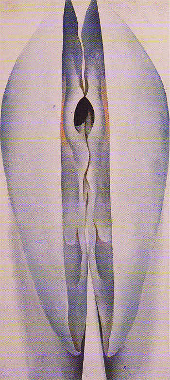 Open Clam Shell The SeaShell 1926 - Georgia O'Keeffe reproduction oil painting