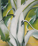White Birch Lake George 1925 - Georgia O'Keeffe reproduction oil painting