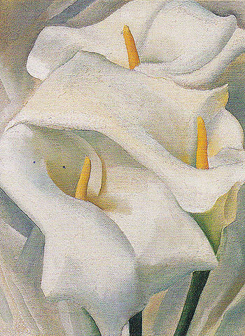 Calla Lilies 1924 - Georgia O'Keeffe reproduction oil painting