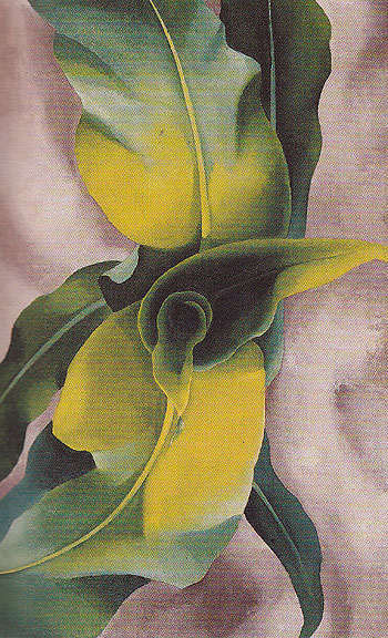 Corn No 3 1924 - Georgia O'Keeffe reproduction oil painting