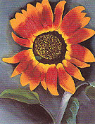 Sunflower 1921 - Georgia O'Keeffe reproduction oil painting