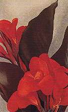 Cannas 1919 - Georgia O'Keeffe reproduction oil painting