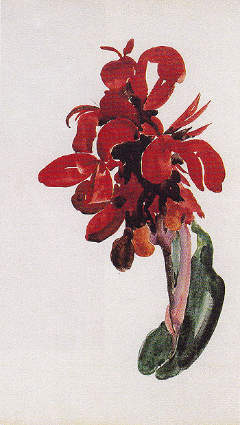 Canna Series c1918 - Georgia O'Keeffe reproduction oil painting