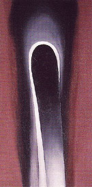 Jack In Pulpit No 6 1930 - Georgia O'Keeffe reproduction oil painting