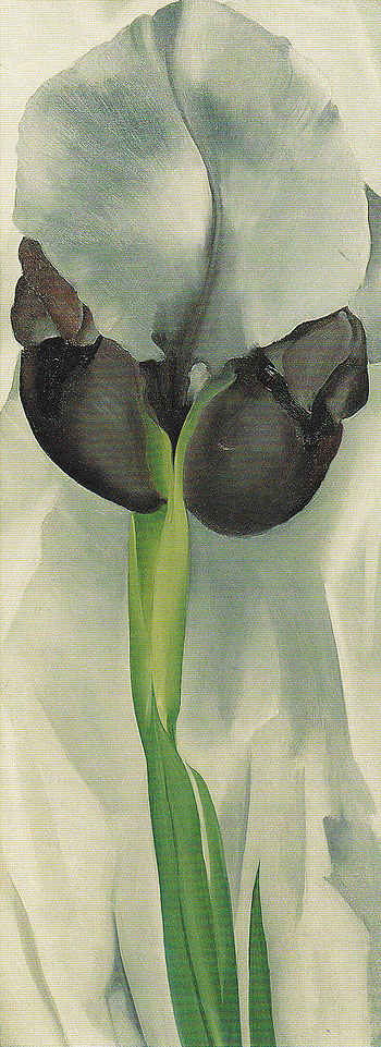 Dark Iris No 1 1927 - Georgia O'Keeffe reproduction oil painting