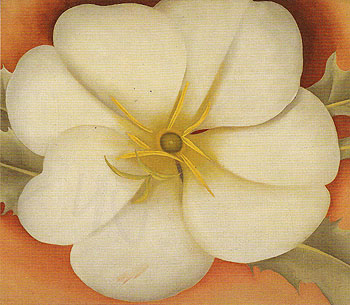 White Flower On Red Earth 1 1943 - Georgia O'Keeffe reproduction oil painting