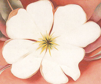 White Flower On Red Earth 2 1943 - Georgia O'Keeffe reproduction oil painting