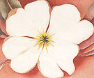 White Flower On Red Earth 2 1943 - Georgia O'Keeffe