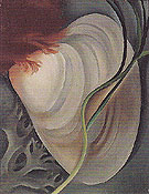 Shell No 2 1928 - Georgia O'Keeffe