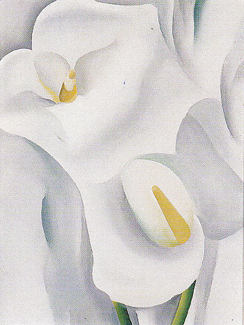 Calla Lilies 712 1930 - Georgia O'Keeffe reproduction oil painting