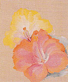 Untitled Hibiscus 1939 - Georgia O'Keeffe