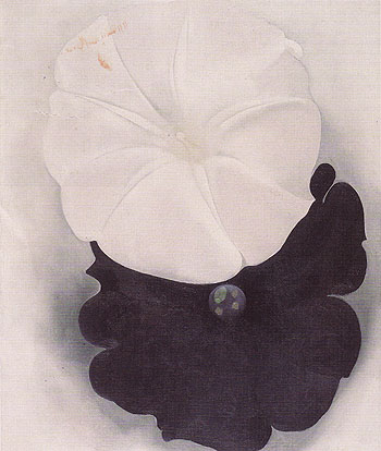 Black Petunia And White Morning Glory 1 1926 - Georgia O'Keeffe reproduction oil painting