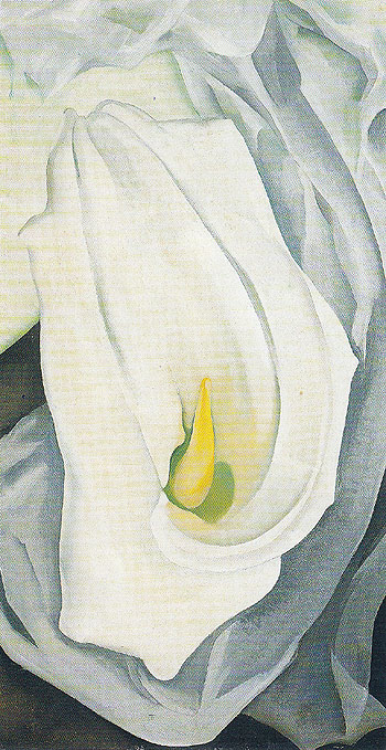 White Calla Lily 1927 - Georgia O'Keeffe reproduction oil painting