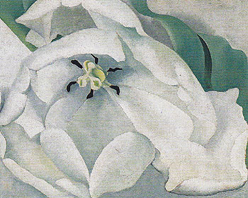 White Flower 1932 - Georgia O'Keeffe reproduction oil painting