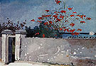 A Wall Nassau 1898 - Winslow Homer