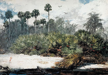 In a Florida Jungle c1885 - Winslow Homer reproduction oil painting