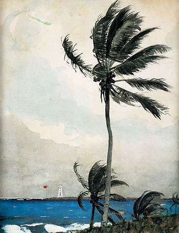 Palm Tree Nassau 1898 - Winslow Homer reproduction oil painting