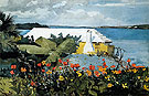 Flower Garden and Bungalow Bermuda - Winslow Homer