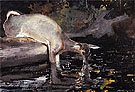 Deer Drinking 1892 - Winslow Homer