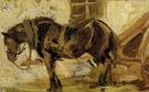 Small Horse Study II 1905 - Franz Marc