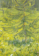 Larch Sapling 1908 - Franz Marc