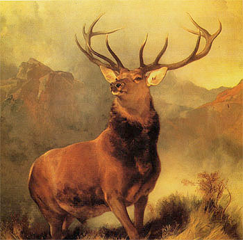 Monarch of the Glen 1850 - Sir Edwin Landseer reproduction oil painting