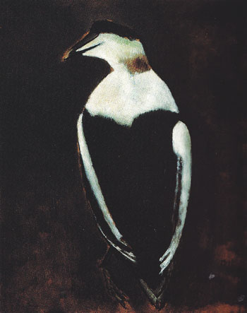 Black Duck c1940 - Marsden Hartley reproduction oil painting