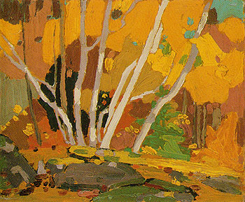 Autumn Birches c1916 - Tom Thomson reproduction oil painting