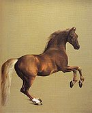 Whistlejacket 1762 - George Stubbs reproduction oil painting