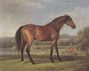 Hollyhock 1766 - George Stubbs reproduction oil painting