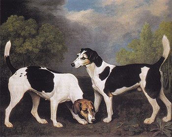 A Couple of Foxhounds 1792 - George Stubbs reproduction oil painting