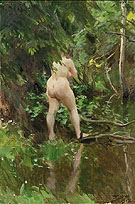 Flood Oversvamning - Anders Zorn