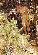 Naken under en Gran 1892 - Anders Zorn