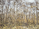 The Beech Tree Forest 1885 - Ferdinand Hodler reproduction oil painting