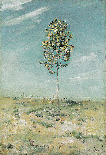 Small Plane Tree 1890 - Ferdinand Hodler reproduction oil painting