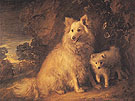 Pomeranian Bitch and Pup c1777 - Thomas Gainsborough