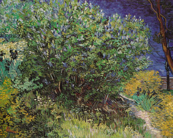 Bushes 1889 - Vincent van Gogh reproduction oil painting